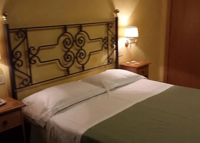 Hotel Fidene *